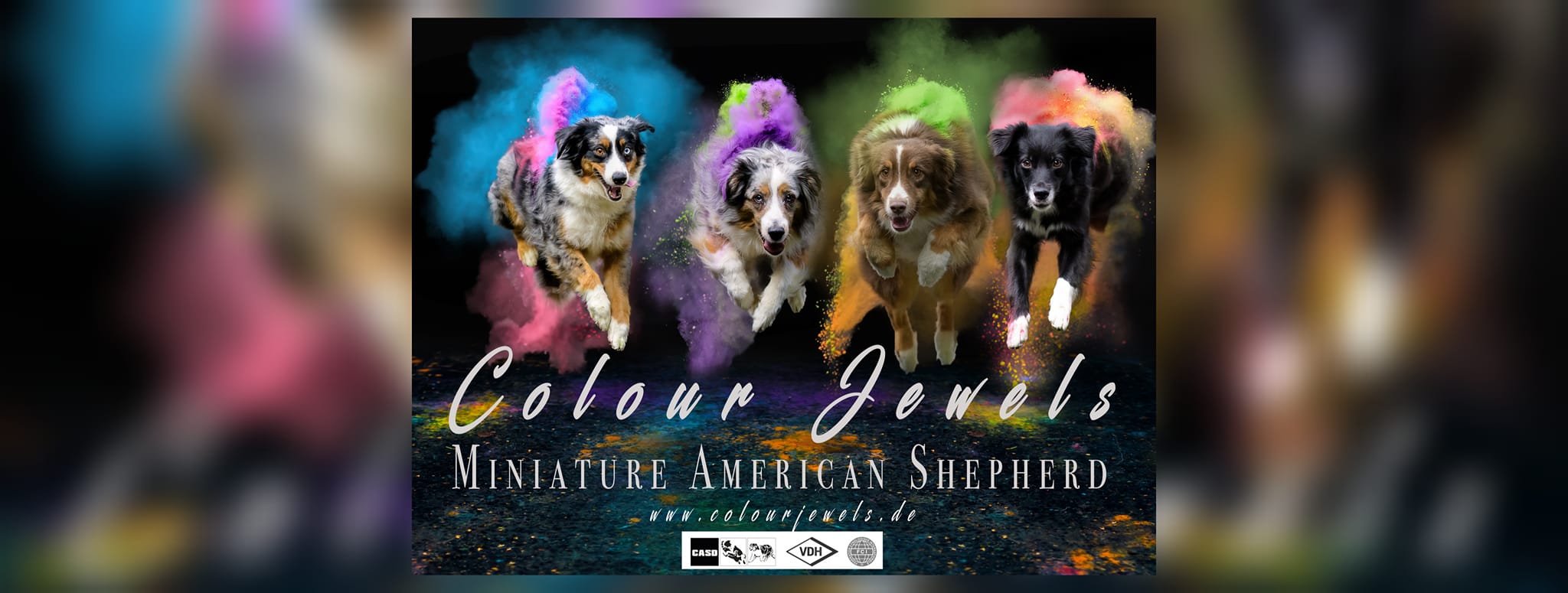 480678268_1057589409743777_2502183578564755513_n