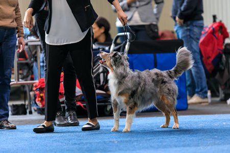 78910024_10207101664816272_467193219470327808_o