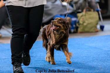 78805092_10207101659936150_86202196948942848_o